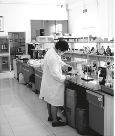 Wuhan Meilun New Materials Co., Ltd